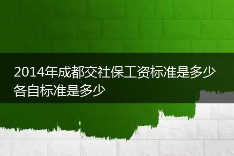 2014年成都交社保工资标准是多少 各自标准是多少