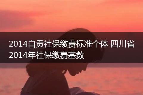 2014自贡社保缴费标准个体 四川省2014年社保缴费基数