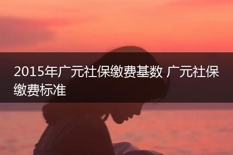 2015年广元社保缴费基数 广元社保缴费标准