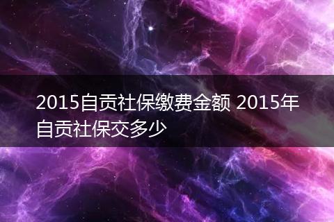 2015自贡社保缴费金额 2015年自贡社保交多少