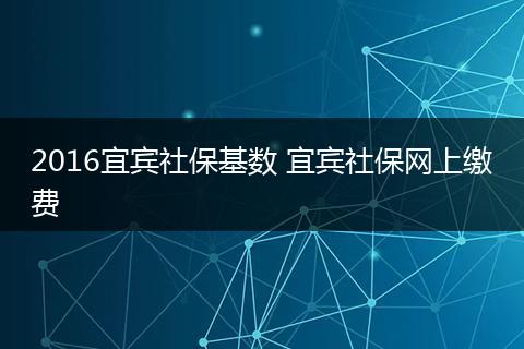 2016宜宾社保基数 宜宾社保网上缴费