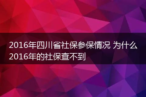 2016年四川省社保参保情况 为什么2016年的社保查不到