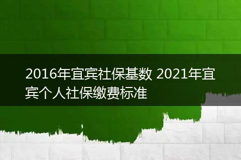 2016年宜宾社保基数 2021年宜宾个人社保缴费标准