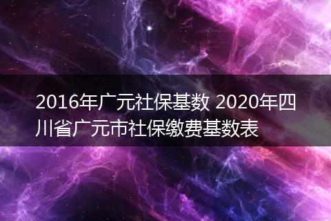 2016年广元社保基数 2020年四川省广元市社保缴费基数表