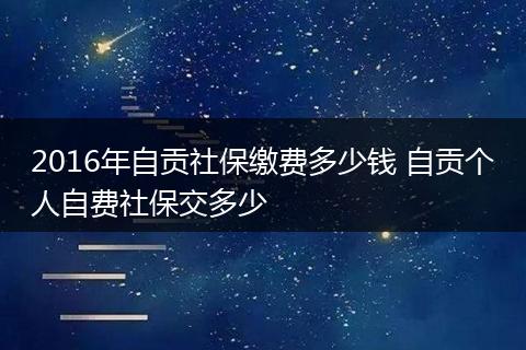 2016年自贡社保缴费多少钱 自贡个人自费社保交多少