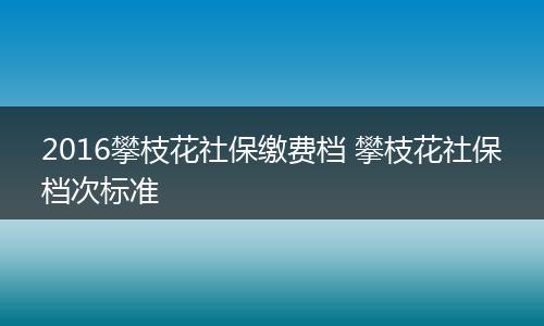 2016攀枝花社保缴费档 攀枝花社保档次标准