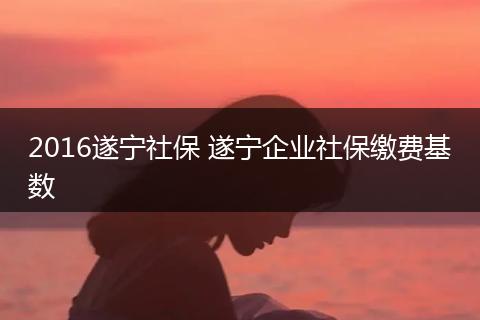 2016遂宁社保 遂宁企业社保缴费基数