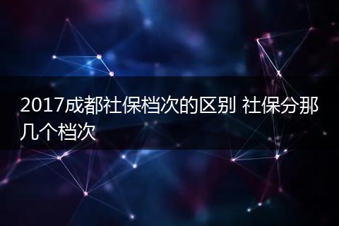 2017成都社保档次的区别 社保分那几个档次