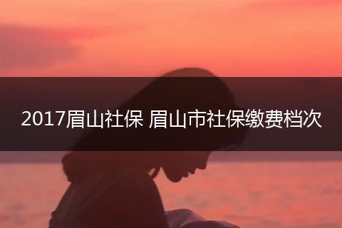 2017眉山社保 眉山市社保缴费档次