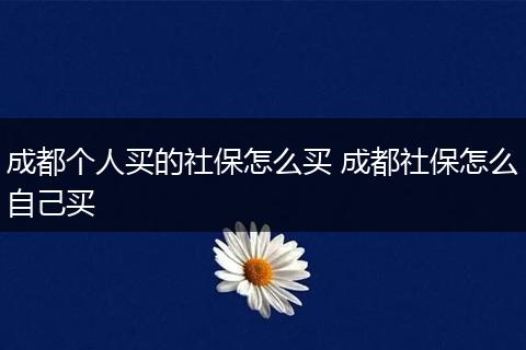 成都个人买的社保怎么买 成都社保怎么自己买