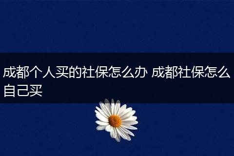 成都个人买的社保怎么办 成都社保怎么自己买