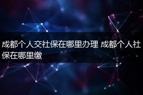成都个人交社保在哪里办理 成都个人社保在哪里缴