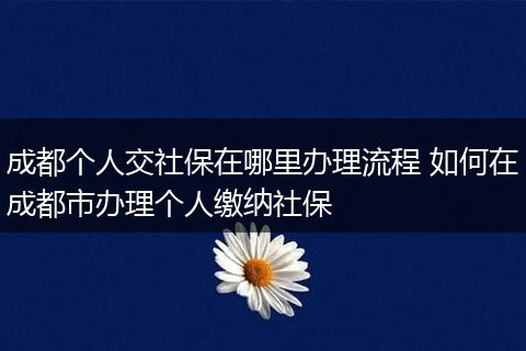 成都个人交社保在哪里办理流程 如何在成都市办理个人缴纳社保