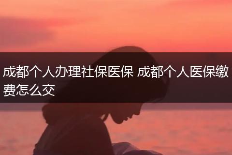 成都个人办理社保医保 成都个人医保缴费怎么交