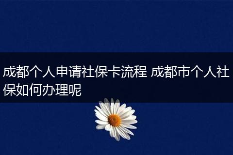 成都个人申请社保卡流程 成都市个人社保如何办理呢