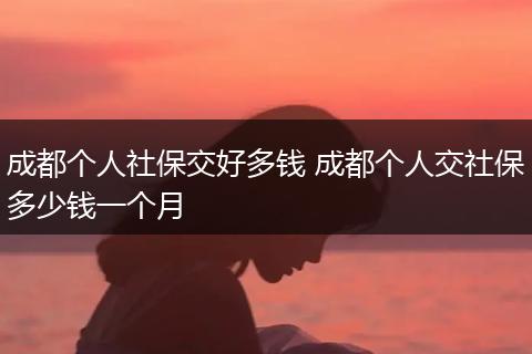 成都个人社保交好多钱 成都个人交社保多少钱一个月