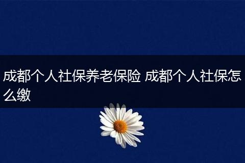成都个人社保养老保险 成都个人社保怎么缴