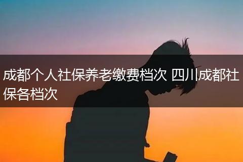 成都个人社保养老缴费档次 四川成都社保各档次