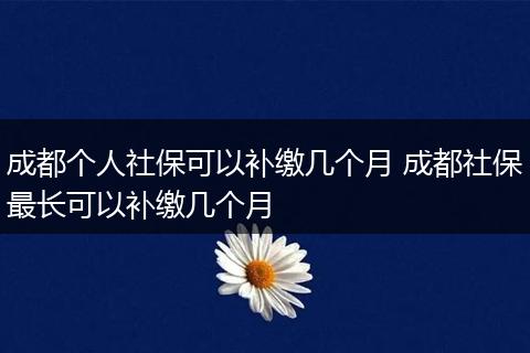 成都个人社保可以补缴几个月 成都社保最长可以补缴几个月
