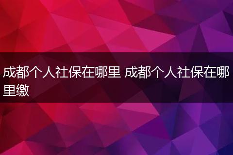 成都个人社保在哪里 成都个人社保在哪里缴