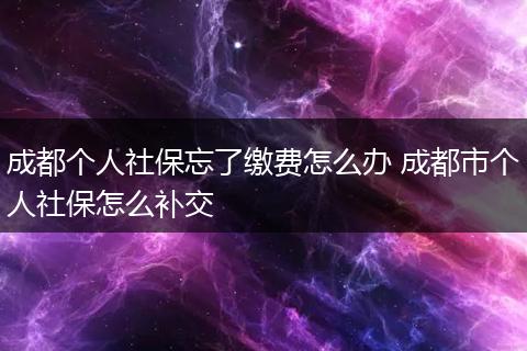 成都个人社保忘了缴费怎么办 成都市个人社保怎么补交