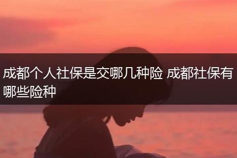成都个人社保是交哪几种险 成都社保有哪些险种