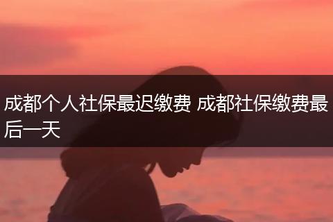成都个人社保最迟缴费 成都社保缴费最后一天