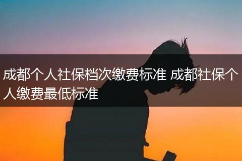 成都个人社保档次缴费标准 成都社保个人缴费最低标准