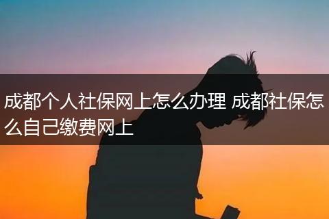 成都个人社保网上怎么办理 成都社保怎么自己缴费网上