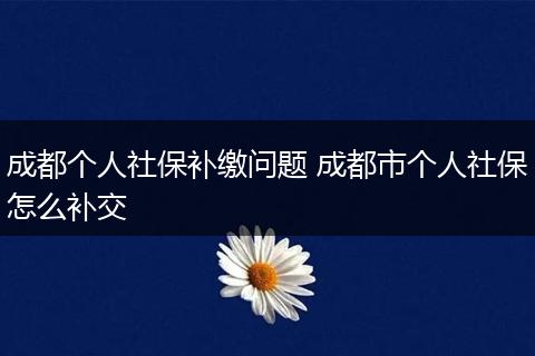 成都个人社保补缴问题 成都市个人社保怎么补交
