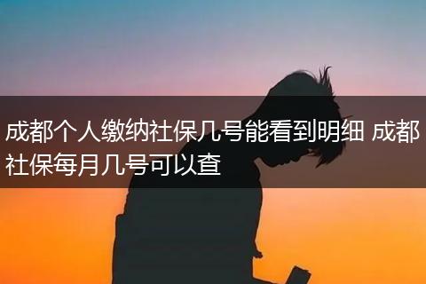 成都个人缴纳社保几号能看到明细 成都社保每月几号可以查