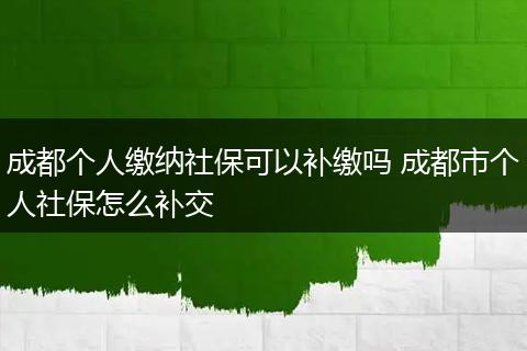 成都个人缴纳社保可以补缴吗 成都市个人社保怎么补交