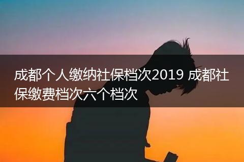成都个人缴纳社保档次2019 成都社保缴费档次六个档次