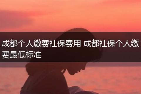 成都个人缴费社保费用 成都社保个人缴费最低标准