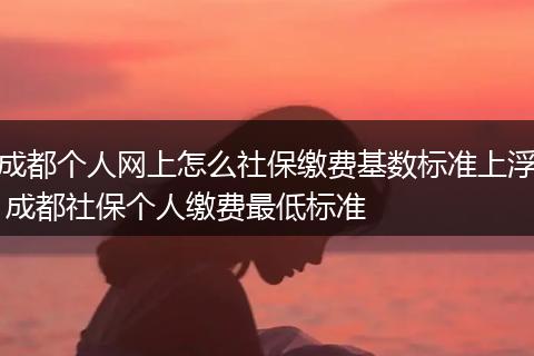 成都个人网上怎么社保缴费基数标准上浮 成都社保个人缴费最低标准