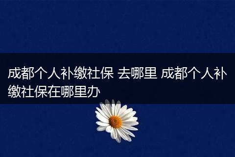 成都个人补缴社保 去哪里 成都个人补缴社保在哪里办