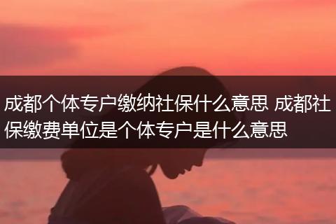 成都个体专户缴纳社保什么意思 成都社保缴费单位是个体专户是什么意思