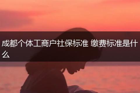 成都个体工商户社保标准 缴费标准是什么