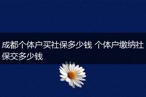 成都个体户买社保多少钱 个体户缴纳社保交多少钱