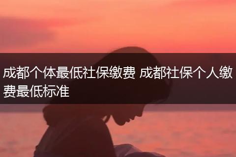 成都个体最低社保缴费 成都社保个人缴费最低标准