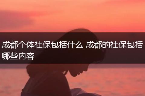 成都个体社保包括什么 成都的社保包括哪些内容