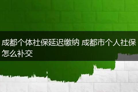 成都个体社保延迟缴纳 成都市个人社保怎么补交