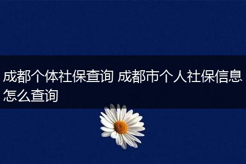 成都个体社保查询 成都市个人社保信息怎么查询
