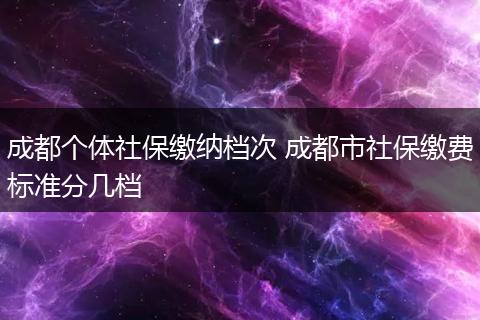 成都个体社保缴纳档次 成都市社保缴费标准分几档