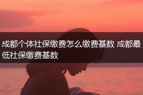 成都个体社保缴费怎么缴费基数 成都最低社保缴费基数