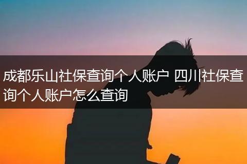 成都乐山社保查询个人账户 四川社保查询个人账户怎么查询