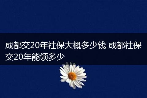 成都交20年社保大概多少钱 成都社保交20年能领多少