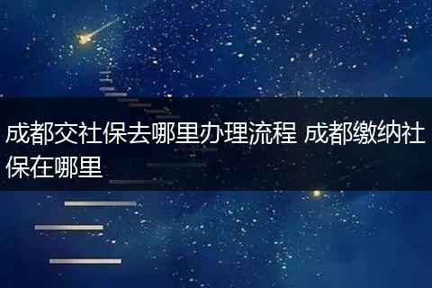 成都交社保去哪里办理流程 成都缴纳社保在哪里