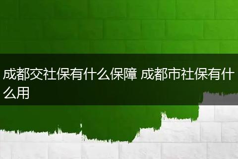 成都交社保有什么保障 成都市社保有什么用
