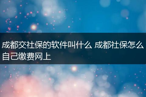成都交社保的软件叫什么 成都社保怎么自己缴费网上